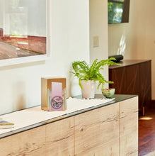 Load image into Gallery viewer, At Peace Memorials Life Canvas Butterflies Bronze Adult Cremation Urn 200 CI