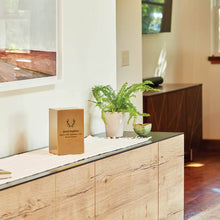 Load image into Gallery viewer, At Peace Memorials Beaumont Box Bronze Large/Adult Cremation Urn 200 CI