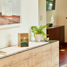 Load image into Gallery viewer, At Peace Memorials Life Canvas Ocean Landscape Bronze Large Cremation Urn 200 CI