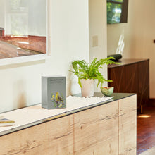 Load image into Gallery viewer, Life Canvas Birds Pewter, Right Side