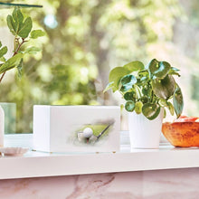 Load image into Gallery viewer, At Peace Memorials Somerset Tee Time