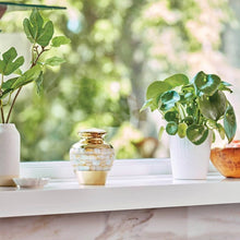 Load image into Gallery viewer, Small/Keepsake Brass Bronze Mother Of Pearl Funeral Cremation Urn, 75 Cu.In