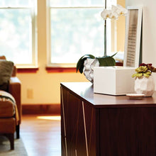 Load image into Gallery viewer, Large/Adult Somerset Box White, Full Size Funeral Cremation Urn for Ashes