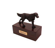 Load image into Gallery viewer, Bronze English Setter Walnut Base Pet Cremation Urn w/ Figurine in 5 diff base sizes