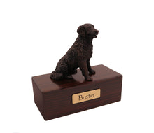 Load image into Gallery viewer, Bronze Long-Hair Labrador Pet Cremation Urn w/ Figurine in 5 Diff Walnut Base Sizes