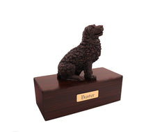 Load image into Gallery viewer, Bronze Newfoundland Pet Cremation Urn w/ Figurine in 5 Diff Walnut Base Sizes