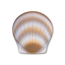 Load image into Gallery viewer, Biodegradable Pearl Seashell Adult/Companion Funeral Cremation Urn, 400 Cubic Inches