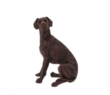 Load image into Gallery viewer, Bronze Great Dane Sitting Walnut Base Pet Cremation Urn w/ Figurine in 5 diff base sizes