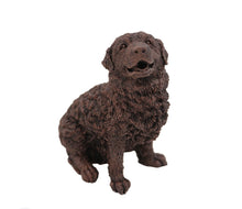 Load image into Gallery viewer, Bronze Newfoundland Pet Cremation Urn w/ Figurine in 5 Diff Walnut Base Sizes