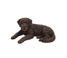 Load image into Gallery viewer, Bronze Saint Bernard Pet Cremation Urn in 5 Diff Walnut Base Sizes