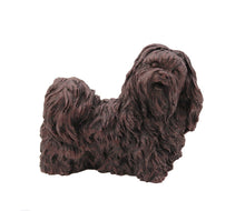 Load image into Gallery viewer, Bronze Shih Tzu Pet Cremation Urn in 5 Diff Walnut Base Sizes