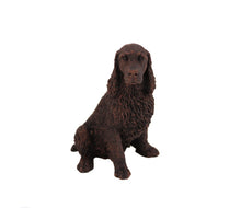 Load image into Gallery viewer, Bronze Springer Spaniel Pet Cremation Urn in 5 Diff Walnut Base Sizes