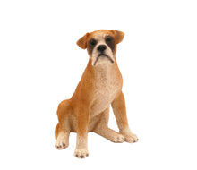 Load image into Gallery viewer, Boxer Ears Down Pet Cremation Urn in 2 Diff Colors & 5 Diff Base Sizes