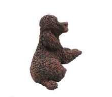 Load image into Gallery viewer, Bronze Poodle Pet Cremation Urn in 5 Diff Walnut Base Sizes