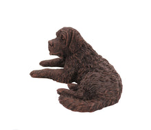 Load image into Gallery viewer, Bronze Saint Bernard Pet Cremation Urn in 5 Diff Walnut Base Sizes