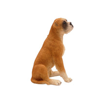 Load image into Gallery viewer, Boxer Ears Down Pet Cremation Urn in 2 Diff Colors & 5 Diff Base Sizes
