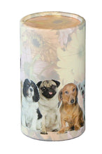Load image into Gallery viewer, Dogs Small 40 Cubic Inches Biodegradable Scattering Tube for Ashes
