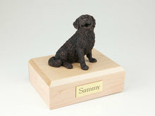 Load image into Gallery viewer, Bernese Mountain Dog Pet Funeral Cremation Urn Avail 3 Different Colors 4 Sizes