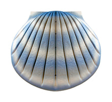 Load image into Gallery viewer, Biodegradable Aqua Shell Adult/Companion Funeral Cremation Urn, 400 Cubic Inches