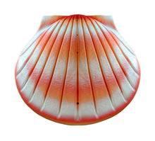 Load image into Gallery viewer, Biodegradable Coral Shell Adult/Companion Funeral Cremation Urn,400 Cubic Inches