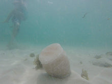 Load image into Gallery viewer, Biodegradable, Eco-Friendly Salt Funeral Cremation Urn, 90 Cubic Inches