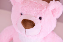 Load image into Gallery viewer, Small/Keepsake 2 Cubic Inches Pink Teddy Bear Funeral Cremation Urn for Ashes