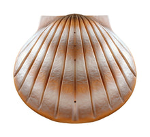 Load image into Gallery viewer, Biodegradable Pearl Shell Adult/Companion Funeral Cremation Urn,400 Cubic Inches