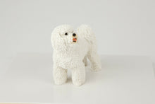 Load image into Gallery viewer, Bichon Frise Pet Funeral Cremation Urn Available in 3 Different Colors & 4 Sizes