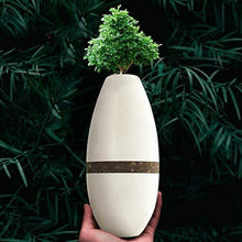 Load image into Gallery viewer, Biotree Planter Cremation Urn Natural Bamboo & Plant Fiber Holds 90 Cubic Inches