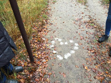 Load image into Gallery viewer, Large/Adult 200 Cubic Inch Brown Walking Stick Scattering Tube Cremation Urn