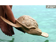 Load image into Gallery viewer, Natural Biodegradable Paper Turtle, Hand Crafted Keepsake Cremation Urn