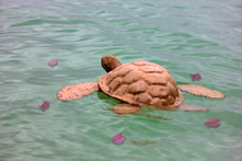 Load image into Gallery viewer, Natural Biodegradable Paper Turtle, Hand Crafted Keepsake Cremation Urn