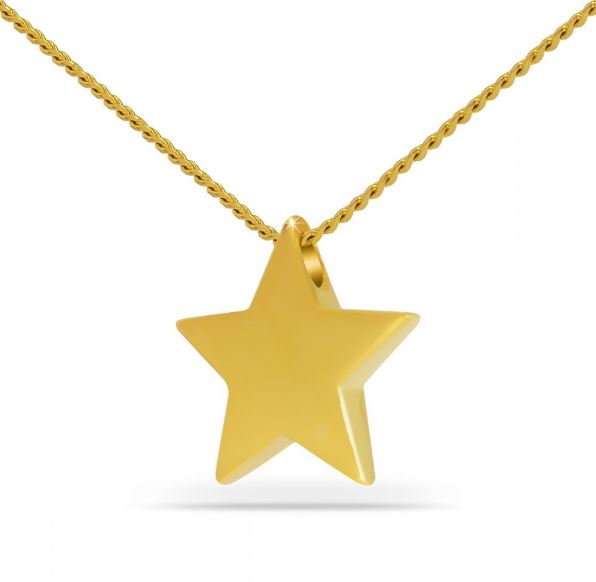 18K Solid Gold Star Pendant/Necklace Funeral Cremation Urn for Ashes
