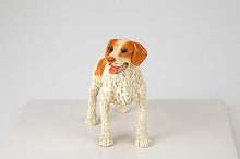 Load image into Gallery viewer, Brittany Brown Pet Funeral Cremation Urn Available in 3 Diff Colors & 4 Sizes