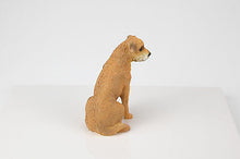 Load image into Gallery viewer, Border Terrier Pet Funeral Cremation Urn Avail in 3 Different Colors & 4 Sizes