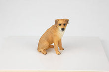 Load image into Gallery viewer, Border Terrier Pet Funeral Cremation Urn Avail in 3 Different Colors & 4 Sizes