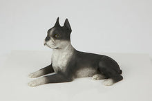 Load image into Gallery viewer, Boston Terrier Pet Funeral Cremation Urn Avail in 3 Different Colors & 4 Sizes