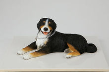 Load image into Gallery viewer, Bernese Mountain Dog Pet Funeral Cremation Urn Avail in 3 Diff Colors & 4 Sizes