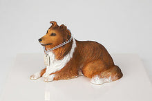 Load image into Gallery viewer, Sable Collie Pet Funeral Cremation Urn Available in 3 Different Colors & 4 Sizes