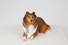 Load image into Gallery viewer, Sable Collie Pet Funeral Cremation Urn Available in 3 Different Colors & 4 Sizes
