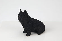 Load image into Gallery viewer, Brussels Griffon Pet Funeral Cremation Urn Available in 3 Diff Colors & 4 Sizes
