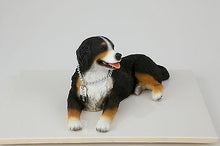 Load image into Gallery viewer, Bernese Mountain Dog Pet Funeral Cremation Urn Avail in 3 Diff Colors & 4 Sizes