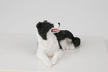 Load image into Gallery viewer, Border Collie Lying Pet Funeral Cremation Urn Avail in 3 Diff Colors & 4 Sizes