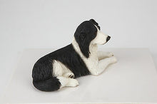 Load image into Gallery viewer, Border Collie Pet Funeral Cremation Urn Avail in 3 Different Colors & 4 Sizes