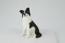 Load image into Gallery viewer, Border Collie Pet Funeral Cremation Urn Avail in 3 Different Colors & 4 Sizes