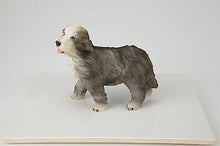 Load image into Gallery viewer, Bearded Collie Pet Funeral Cremation Urn Avail in 3 Different Colors & 4 Sizes