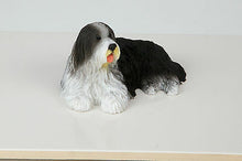 Load image into Gallery viewer, Bearded Collie Pet Funeral Cremation Urn Avail in 3 Different Colors & 4 Sizes