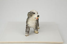 Load image into Gallery viewer, Bearded Collie Pet Funeral Cremation Urn Avail in 3 Different Colors & 4 Sizes