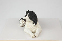 Load image into Gallery viewer, Border Collie Pet Funeral Cremation Urn Avail in 3 Different Colors & 4 Sizes