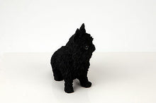 Load image into Gallery viewer, Brussels Griffon Pet Funeral Cremation Urn Available in 3 Diff Colors & 4 Sizes